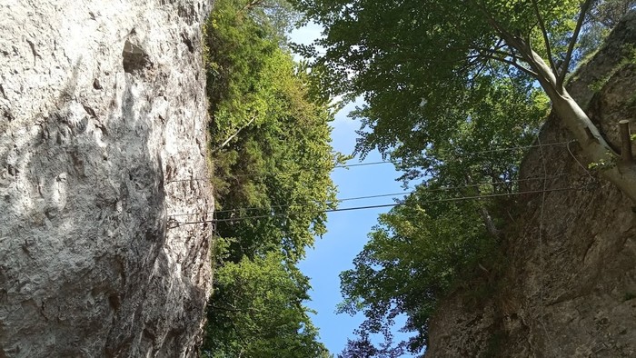 IMG_20190911_111704.jpg
