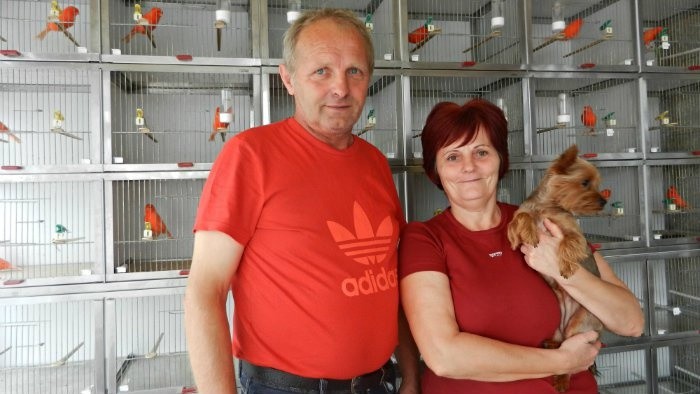 Hobby – Chovateľ kanárikov
