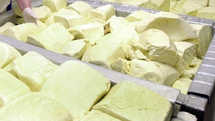 Slowakischer Schafskäse Bryndza - Quelle der Gesundheit