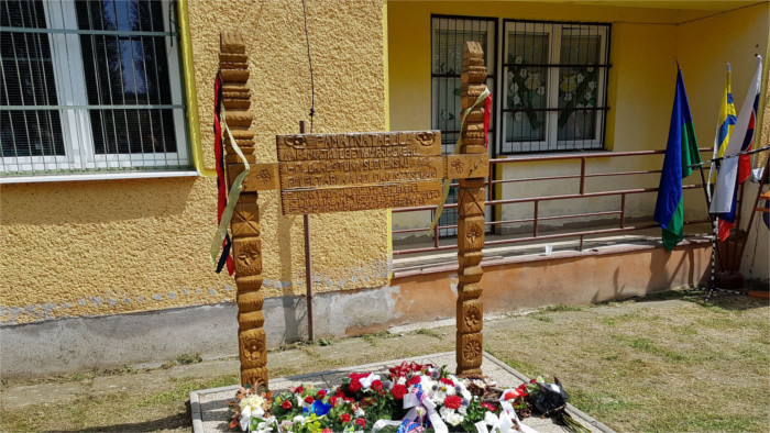 Exposition : Diagnostic racial - Tsigane