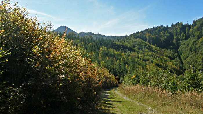 Cesta na chatu.jpg