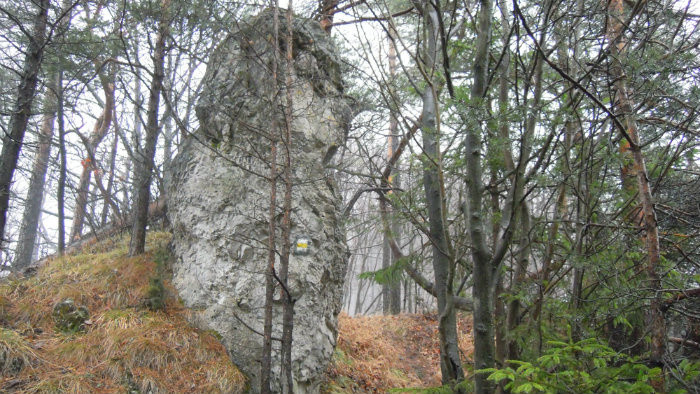 Snímka 6.JPG