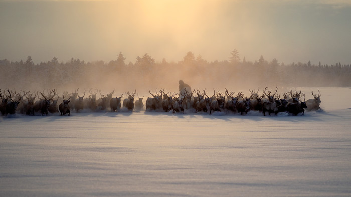 i02_M01B6393_crop169.jpg