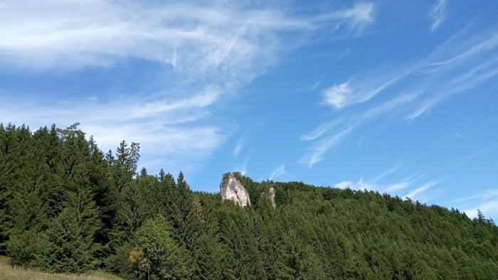 IMG_20190911_121108.jpg