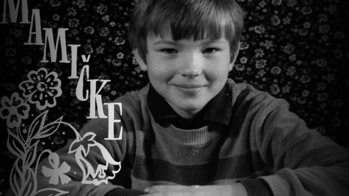 Family Vintage Viktora Freša mali otvoriť v Danubiane, aký je momentálny stav?