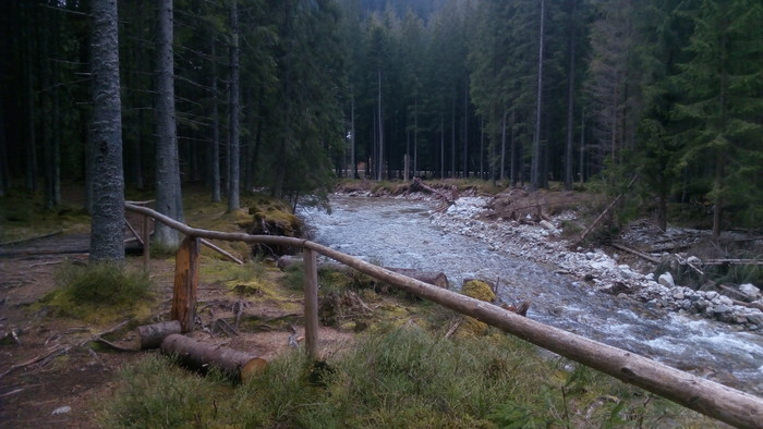 07.jpg