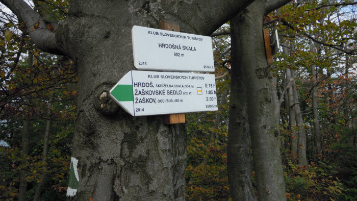 Snímka 10.JPG