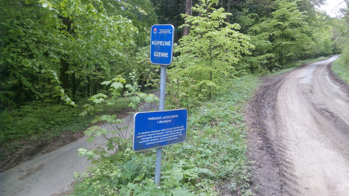 06.jpg