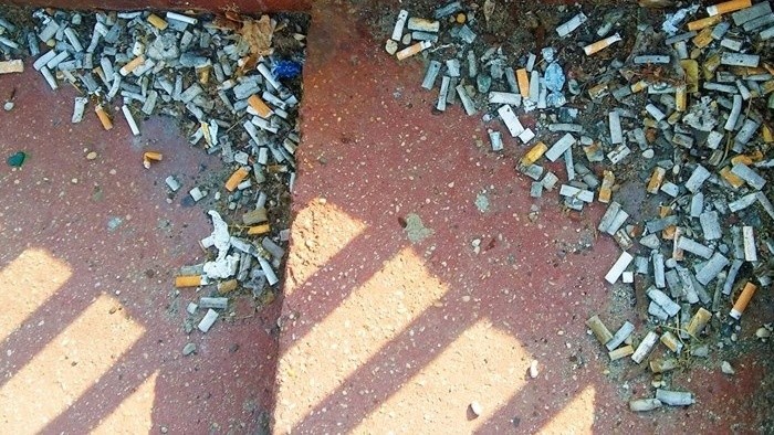 Čierna labuť_FM: Cigaretové ohorky dokážu znečistiť aj vodu