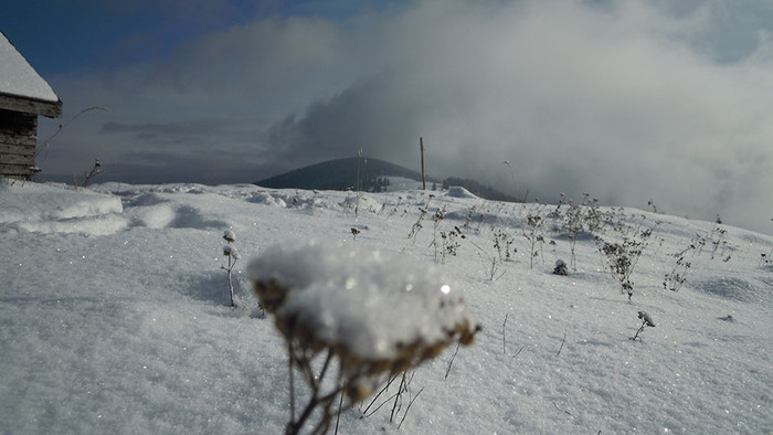 DSCN3077.JPG