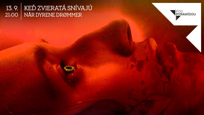 Letné kino POD PYRAMÍDOU uvedie posledný film tejto sezóny