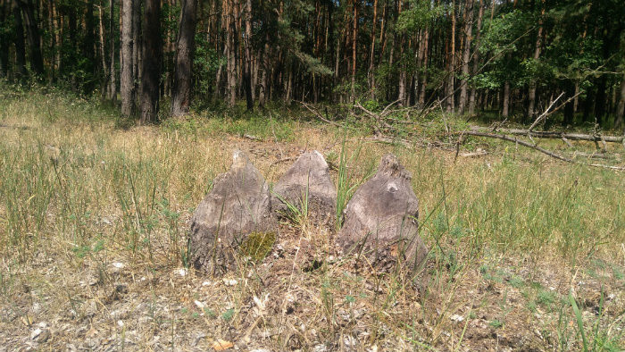 Snimka 4.jpg