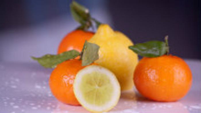 V Dubnici nad Váhom kedysi pestovali citrusové plody