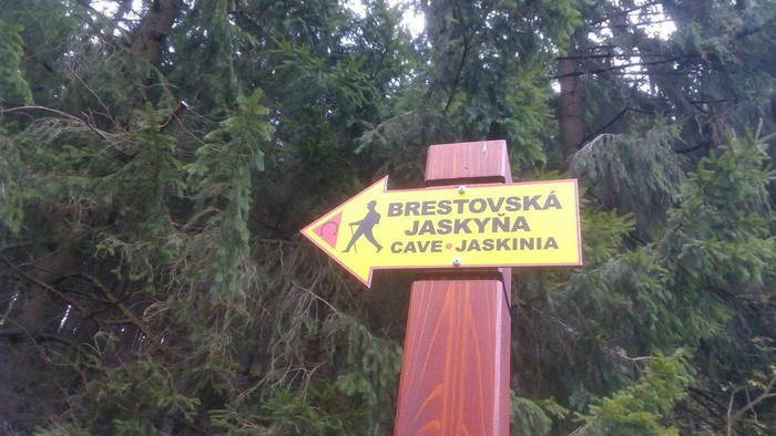 02.jpg