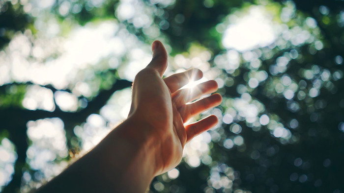 Tranzitný program Zo školy do života