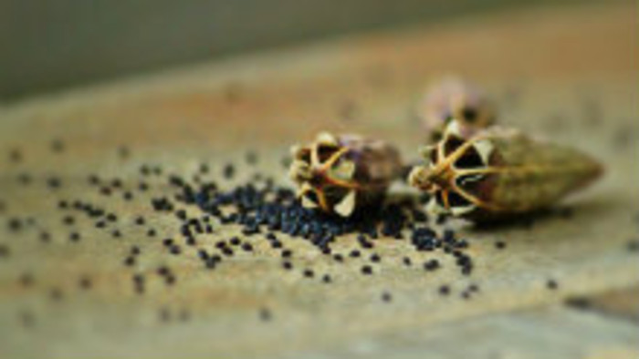 Naše banky posledného súdu