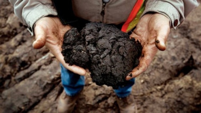 Slovak toxic waste to be cleaned up