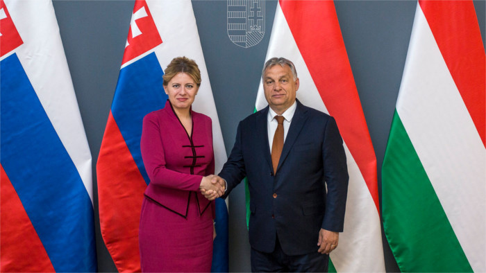 V4 can't be only about protecting regional interests 