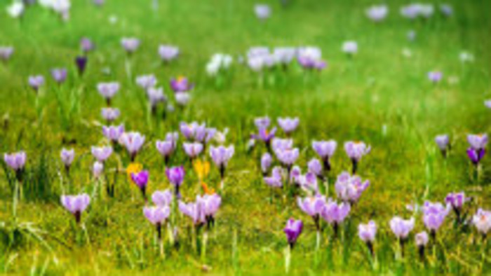 Rádiovíkend 31. 3. 2018 - pozvánky