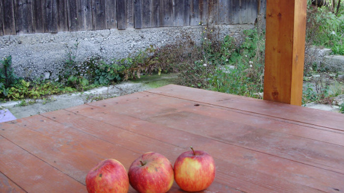 P4240975.JPG