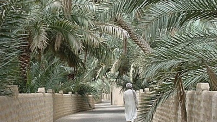 al ain oasis.jpg