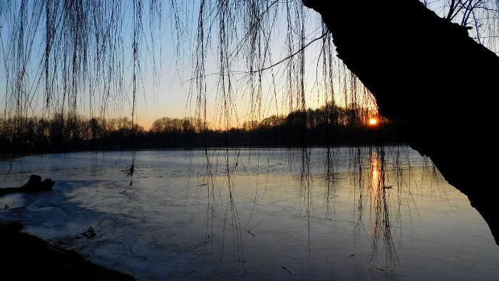 Vnútrozemská dunajská delta