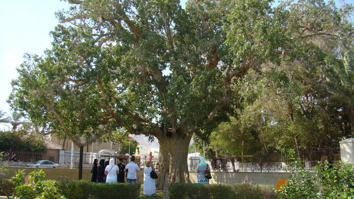 DSC09878.JPG