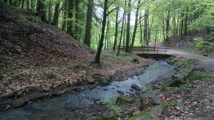 07.jpg