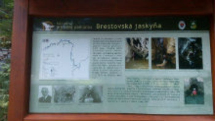Brestovská jaskyňa