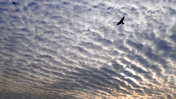 Prevent rather than inspire