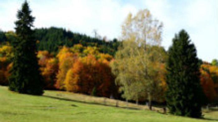 Rádiovíkend 21. 10. 2017 - pozvánky