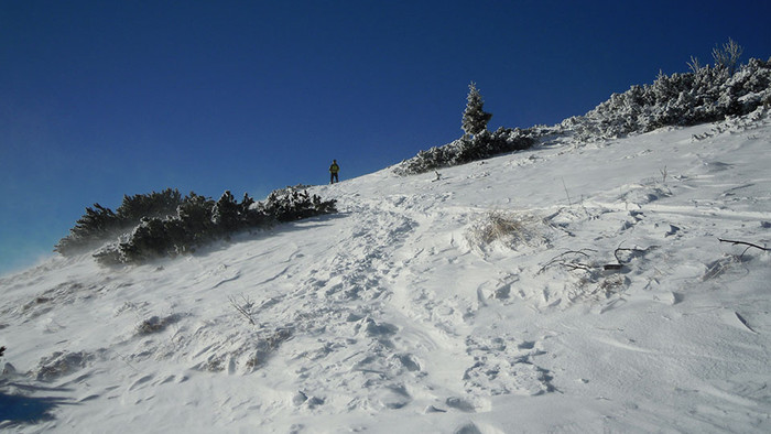 DSCN4503.JPG
