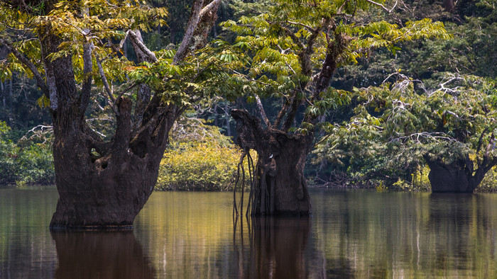 EC17-9663-Edit.jpg