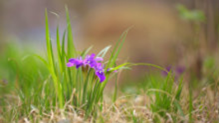 Rádiovíkend 14. 4. 2018 - pozvánky
