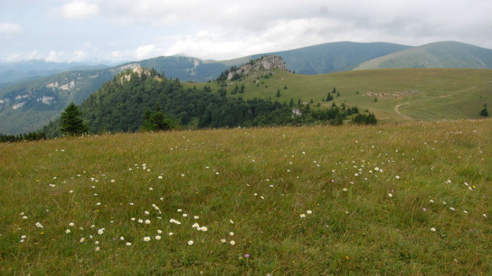 Sona Weissova (2).JPG