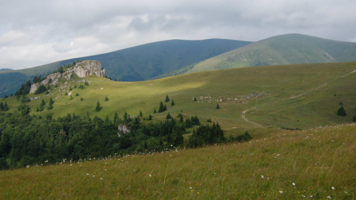 Sona Weissova (5).JPG