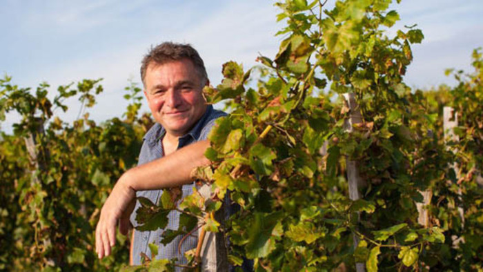Les presentamos el vino natural de Strekov