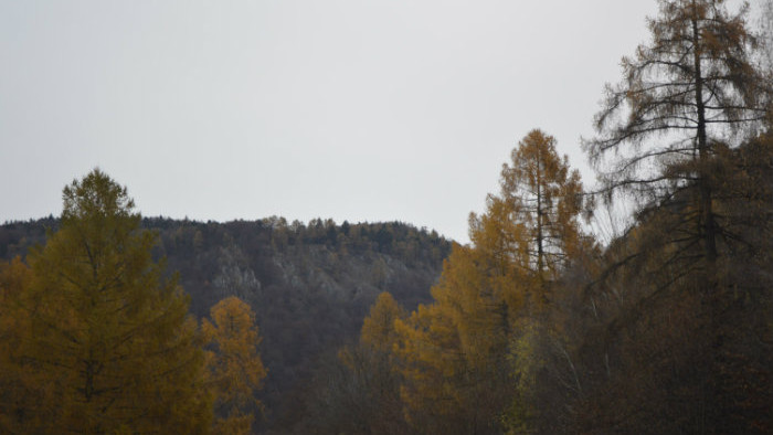 Snímka 15.JPG