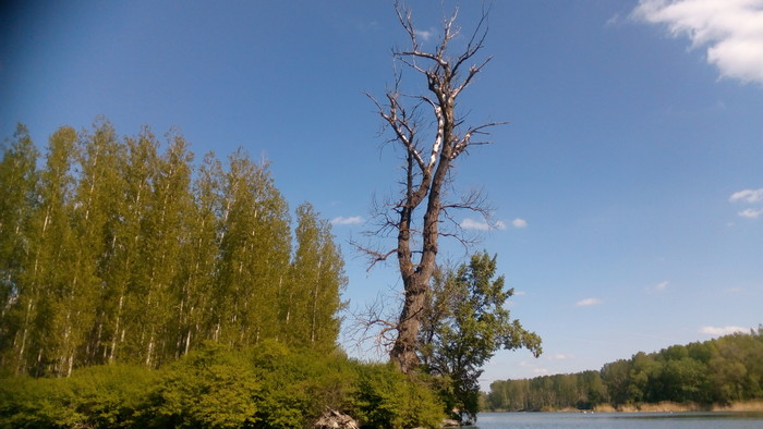 06.jpg