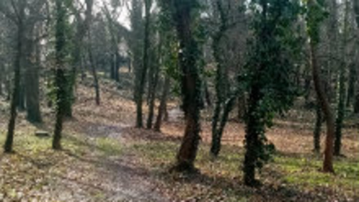 Park v Mojmírovciach 