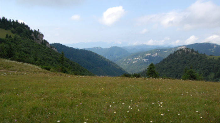 Sona Weissova (6).JPG