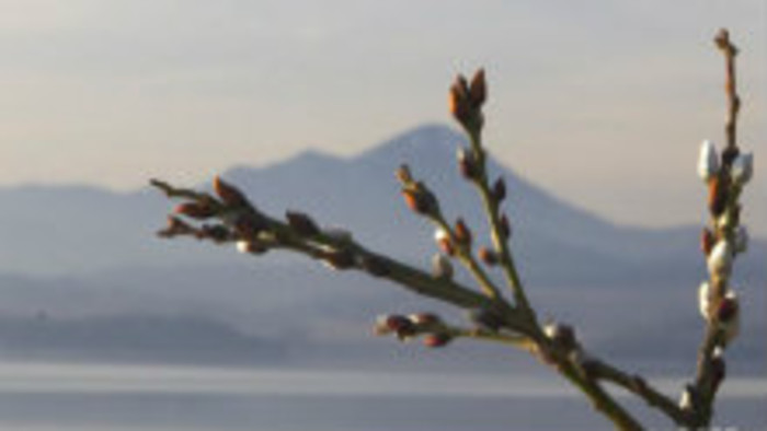 Rádiovíkend 4. 3.2017 - pozvánky