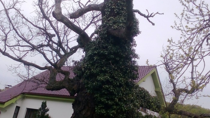 04.jpg