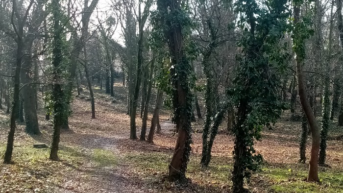 IMG_20200130_102019.jpg