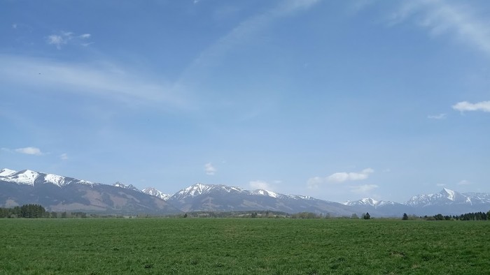 IMG_20190426_113205.jpg