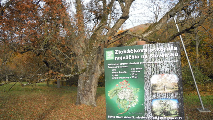 Snímka 10.JPG