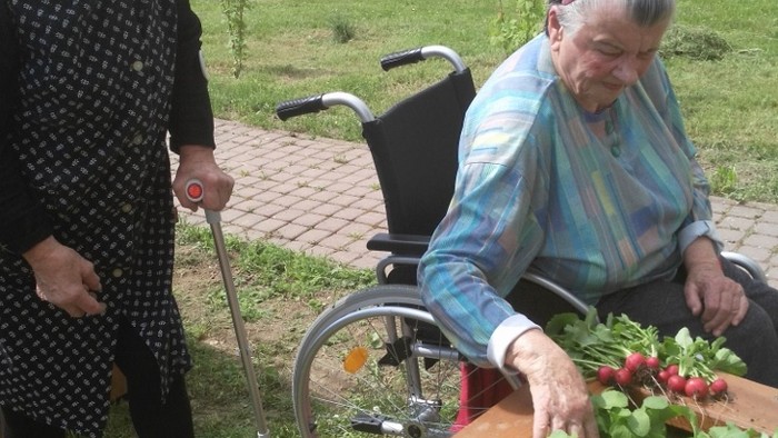 IMG_20170526_103919 (720x1280).jpg