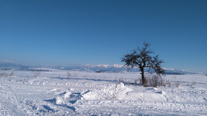 Snímka 6.jpg
