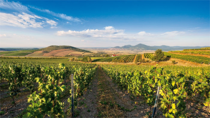 Tokaj2.jpg