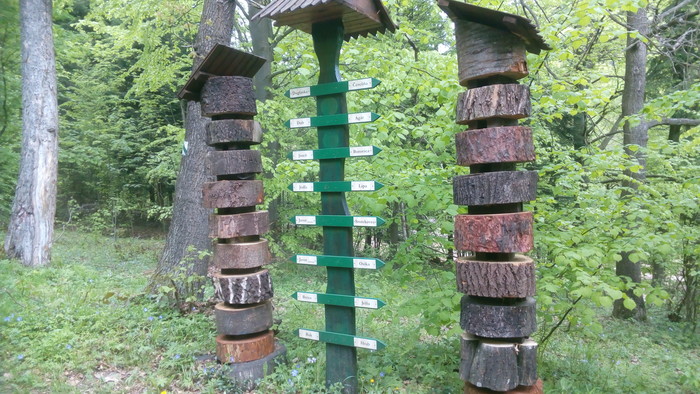 05.jpg